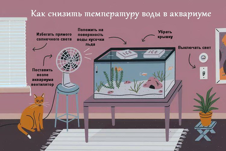 Снизить температуру воды