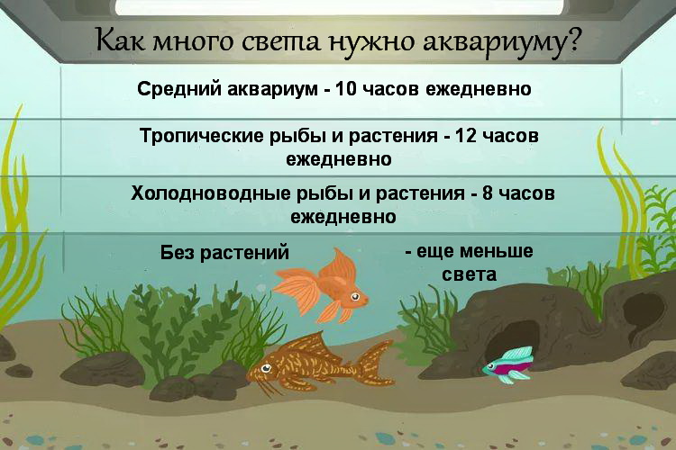 Освещение в аквариуме