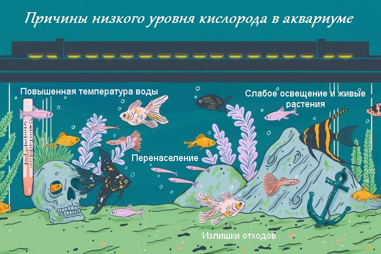 Низкий уровень кислорода